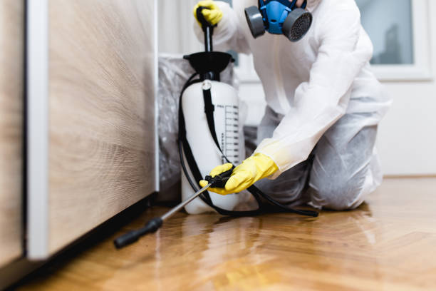 Best Termite Control Services  in Bushnell, IL