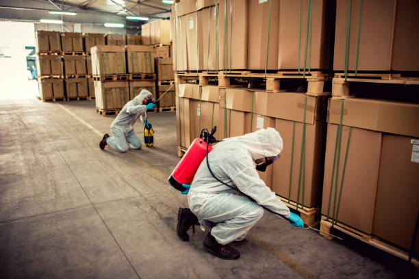 Best Flea Control Services  in Bushnell, IL