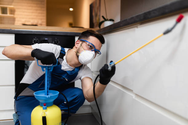 Best Pest Control Near Me  in Bushnell, IL