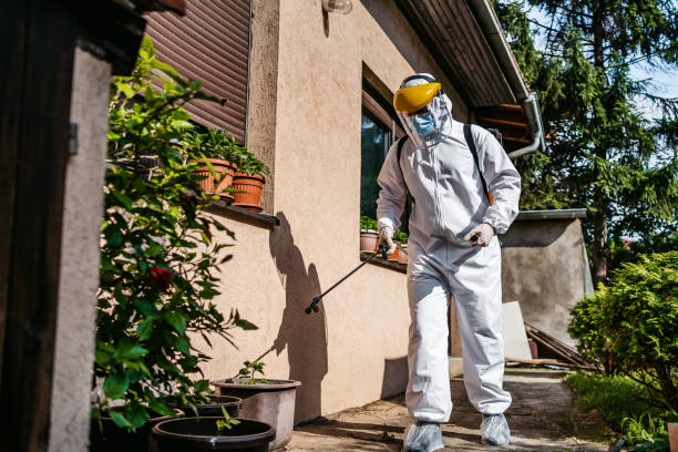 Best Best Pest Control Companies  in Bushnell, IL