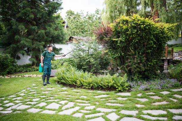 Professional Pest Control in Bushnell, IL