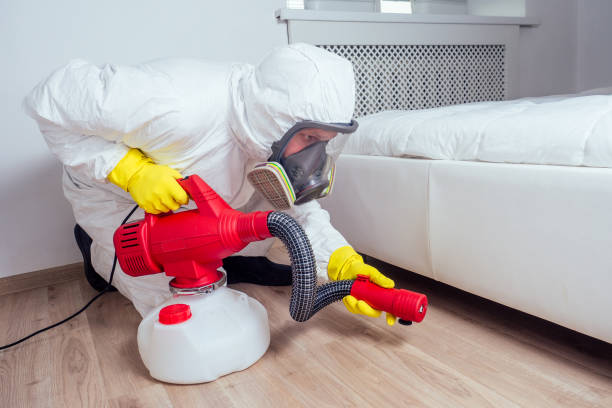 Best Residential Pest Control  in Bushnell, IL