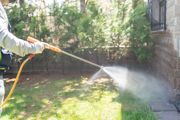 Best Pest Removal Services  in Bushnell, IL