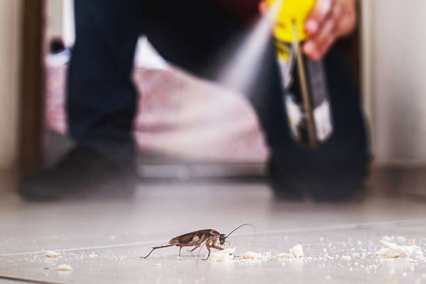 Best Best Pest Control Companies  in Bushnell, IL