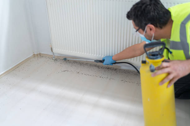 Best Cockroach Control Services  in Bushnell, IL