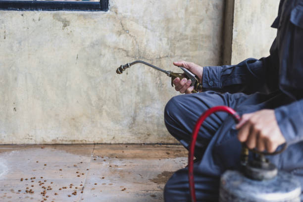 Best Emergency Pest Control  in Bushnell, IL